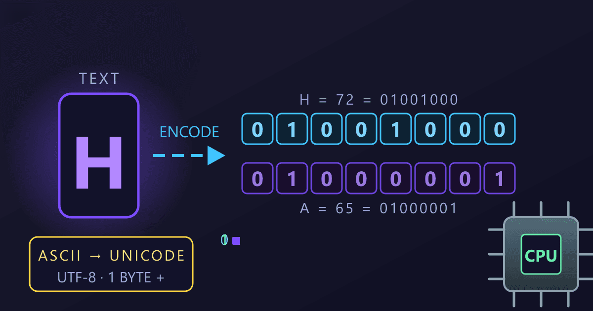 Binary to Text: How Computers Encode and Read Characters