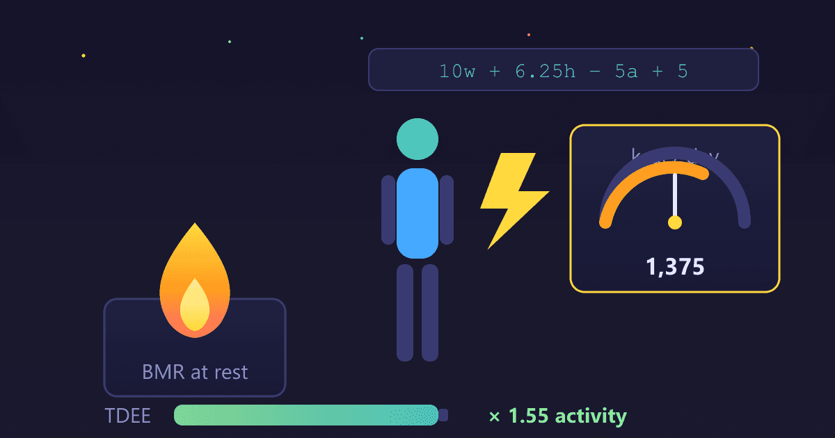 BMR Calculator: The Ultimate Guide to Your Metabolism